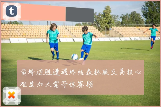 黄蜂连胜遭遇终结森林狼交易核心难度加大需等休赛期